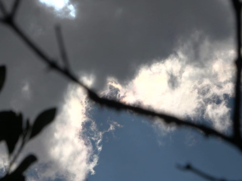 00151 - frame at 0m20s