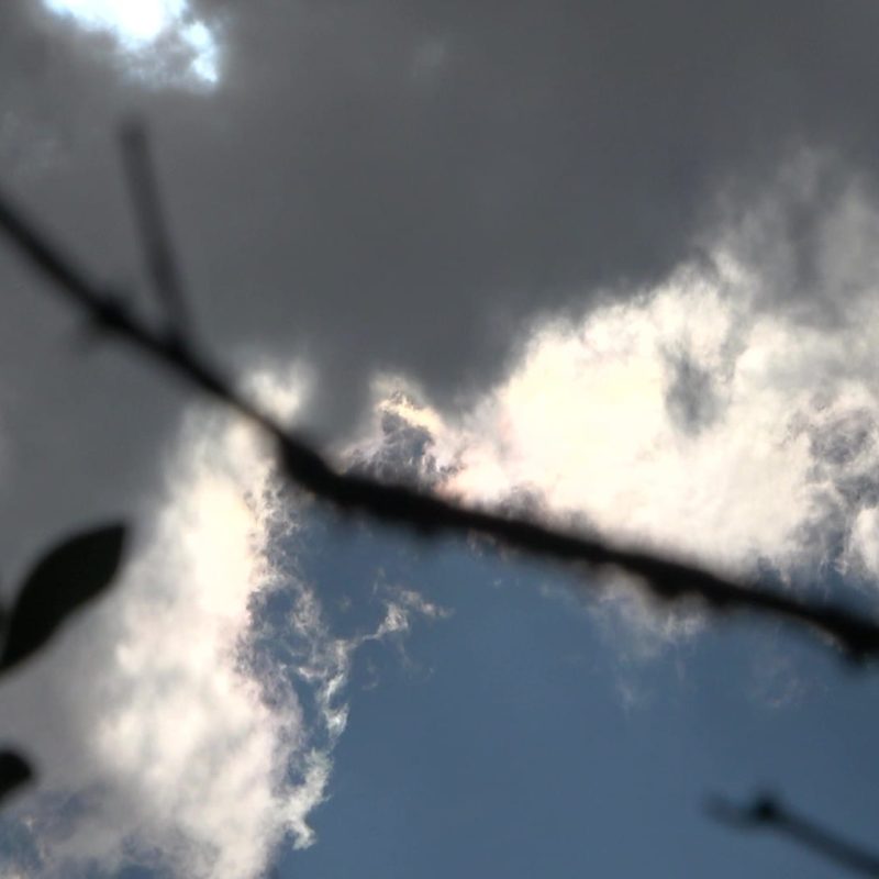 00151 - frame at 0m20s
